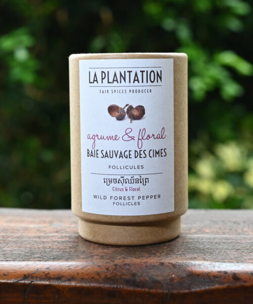 Poivre sauvage de forêt