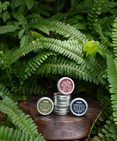 Pack baumes miraculeux aux plantes