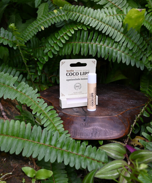 Baume Lèvres à la Noix de Coco