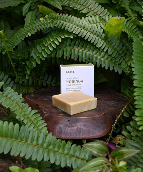 Savon Solide Visage au Moringa Bio