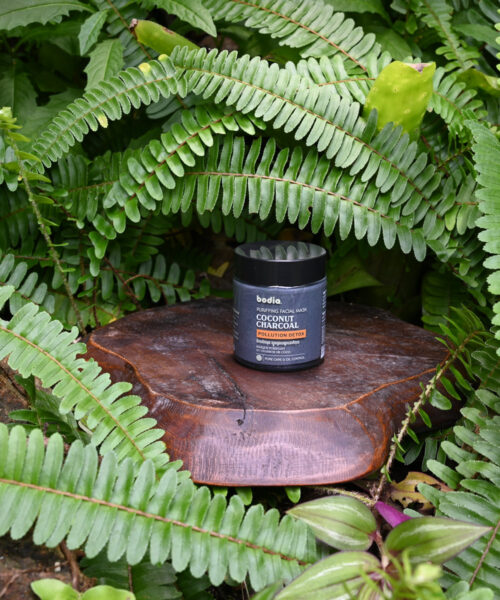 Exfoliant Visage au Charbon Actif de Noix de Coco