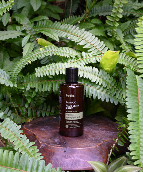 Shampoing naturel