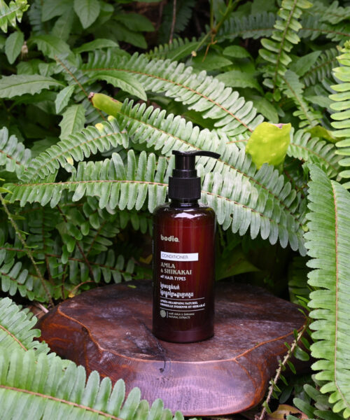 Après Shampoing