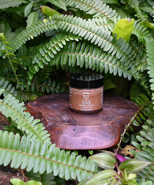 Exfoliant Corps au Riz Jasmin