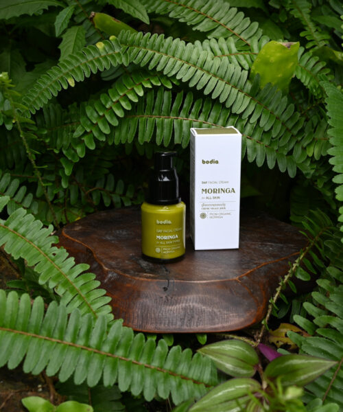 Crème Visage Jour Bio au Moringa