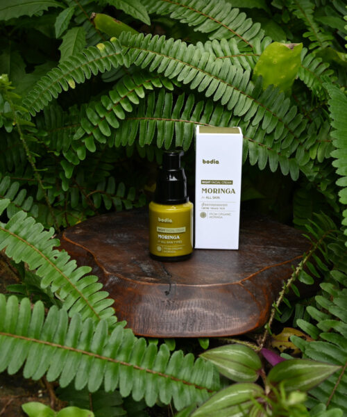 Crème Visage Nuit Bio au Moringa