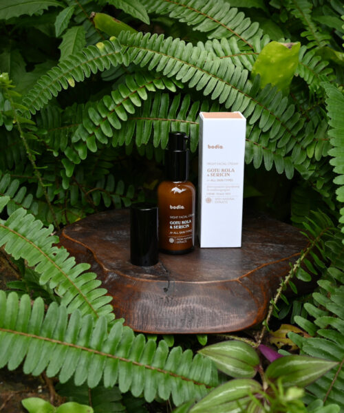 Crème Visage Nuit au Gotu Kola & Séricine